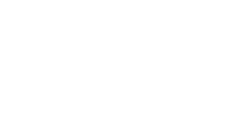 Nonprofit Association of Midlands logo